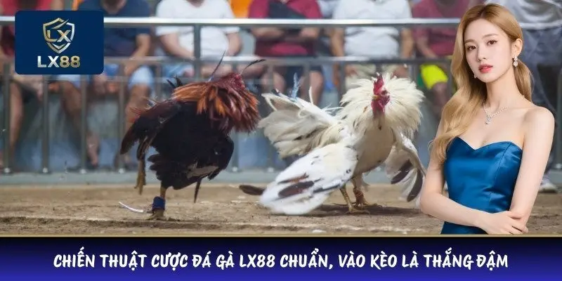 Chiến Thuật Cược Đá Gà LX88 Chuẩn, Vào Kèo Là Thắng Đậm