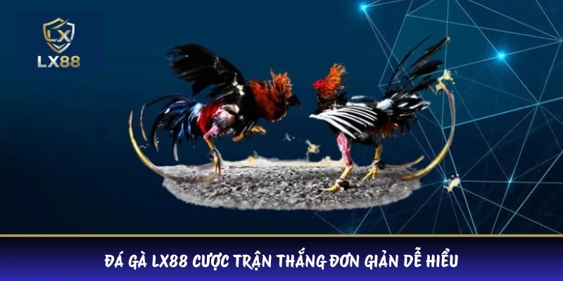 Đá gà LX88 cược trận thắng đơn giản dễ hiểu 