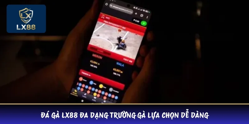 Đá gà LX88 đa dạng trường gà lựa chọn dễ dàng 