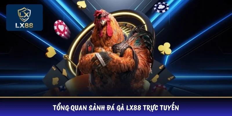 Tổng quan sảnh đá gà LX88 trực tuyến