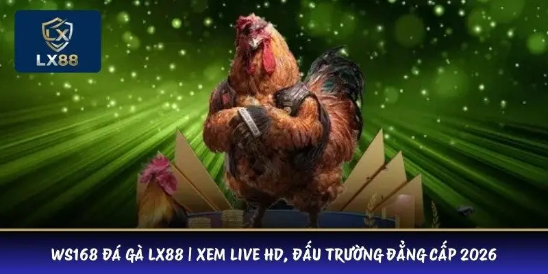 WS168 Đá Gà LX88 | Xem Live HD, Đấu Trường Đẳng Cấp 2026